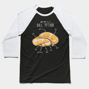 Anatomy of an Albino Ball Python Baseball T-Shirt